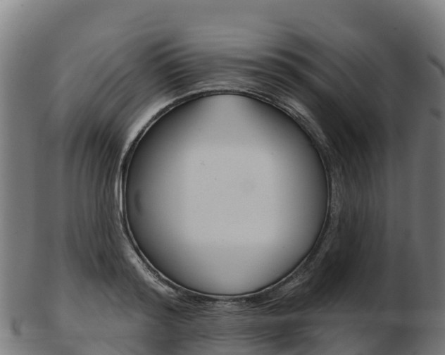 X0000103460796200809121056