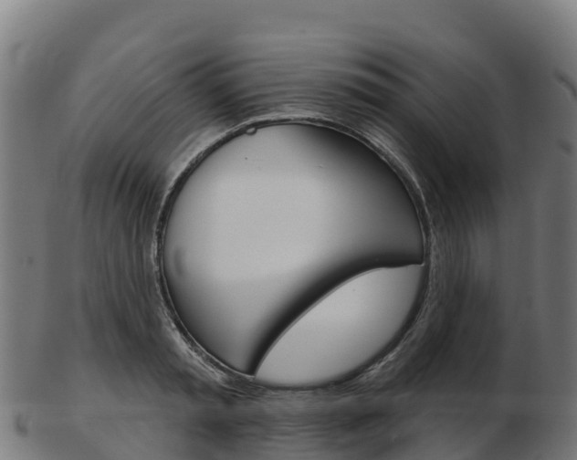 X0000103460797200809121056