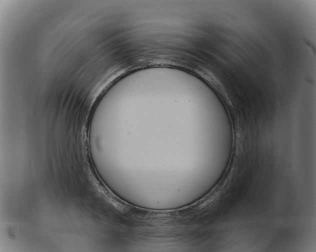 X0000103460798200809121056