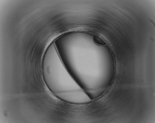 X0000103460800200809121056