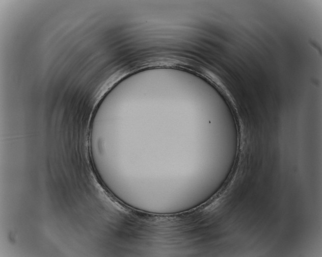 X0000103460802200809121056