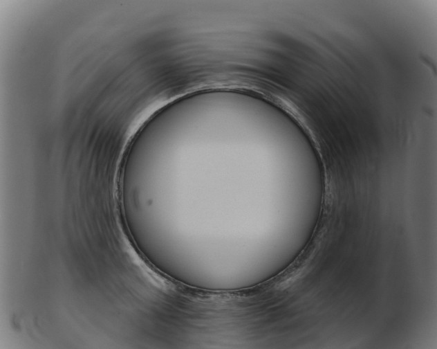 X0000103460803200809121056