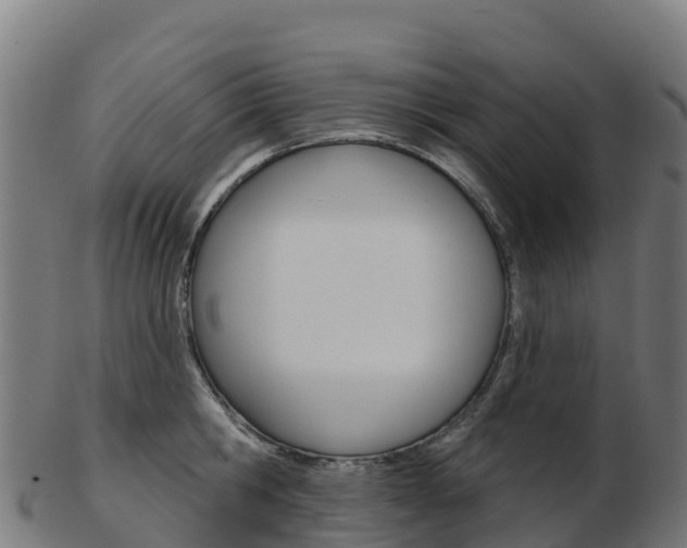 X0000103460806200809121056