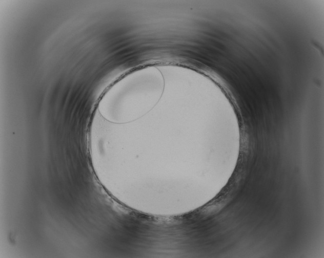 X0000103460807200809121056