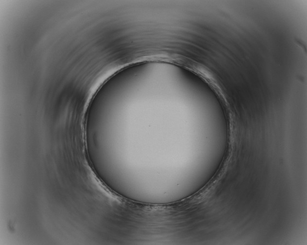 X0000103460808200809121056