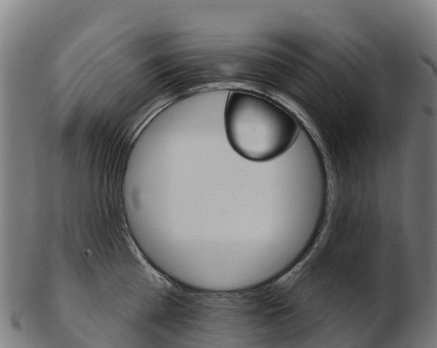 X0000103460809200809121056