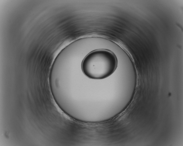 X0000103460813200809121056