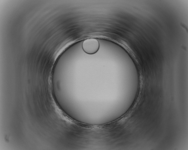 X0000103460814200809121056