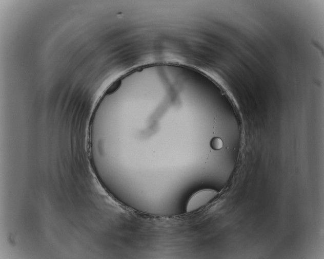X0000103460815200809121056