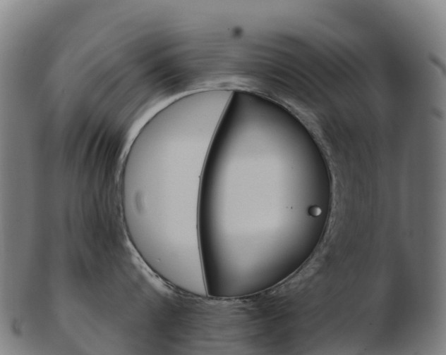 X0000103460816200809121056