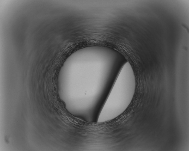 X0000103460817200809121055