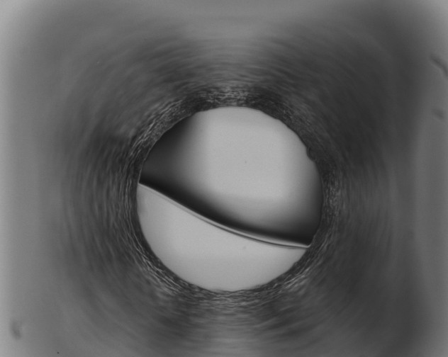 X0000103460818200809121055