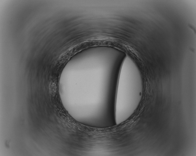 X0000103460821200809121055