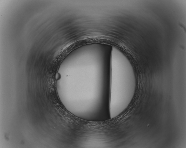 X0000103460822200809121055