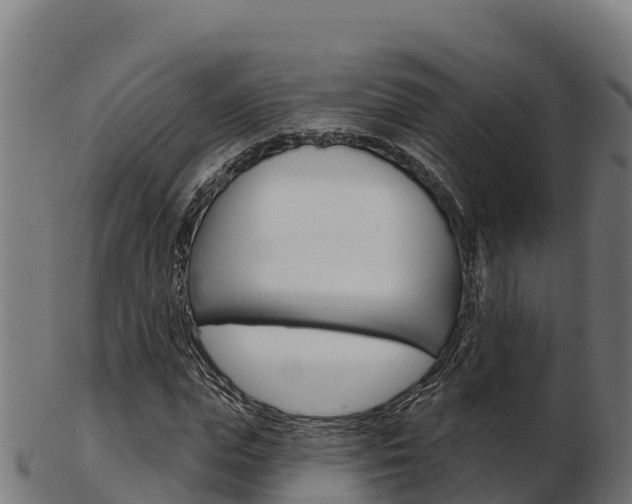 X0000103460823200809121055