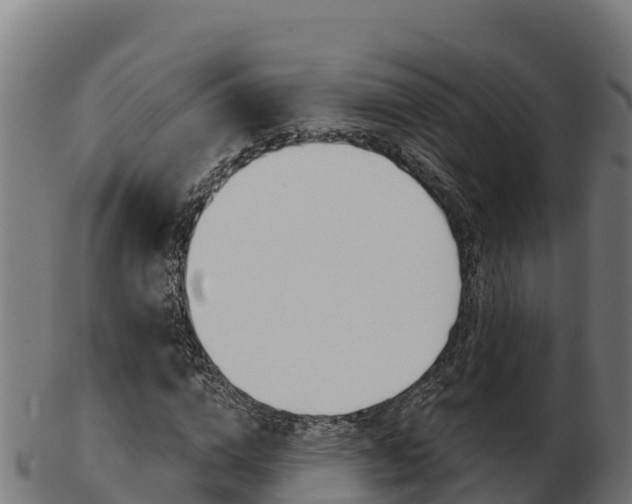 X0000103460824200809121055