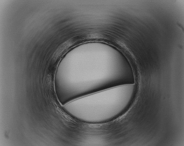 X0000103460825200809121055