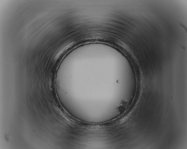 X0000103460826200809121055