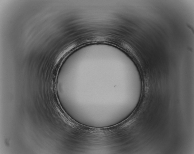 X0000103460827200809121055