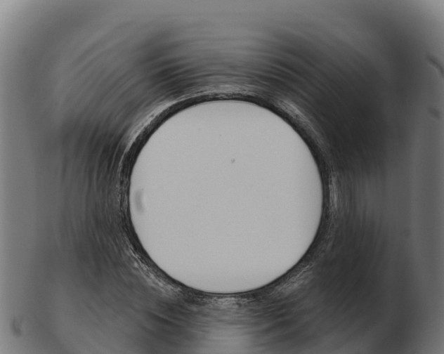 X0000103460828200809121055