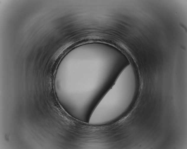 X0000103460829200809121055