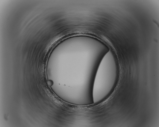X0000103460831200809121055