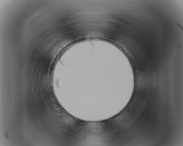 X0000103460832200809121055
