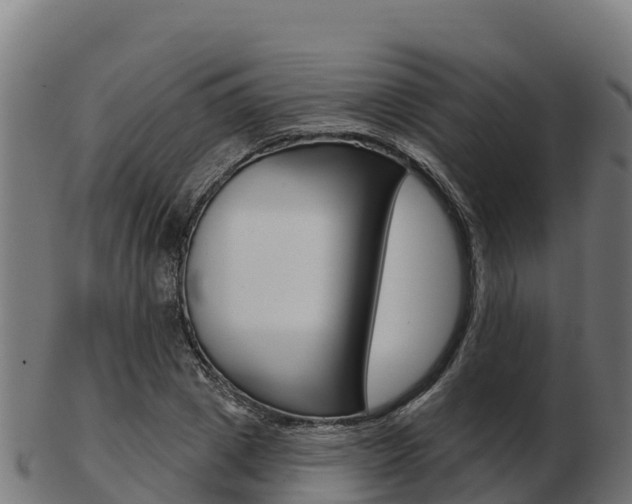 X0000103460833200809121055