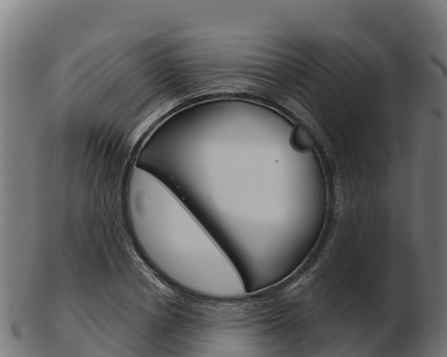 X0000103460834200809121055