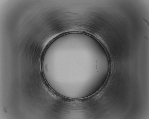 X0000103460838200809121055