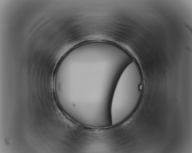 X0000103460839200809121055