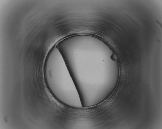 X0000103460840200809121055