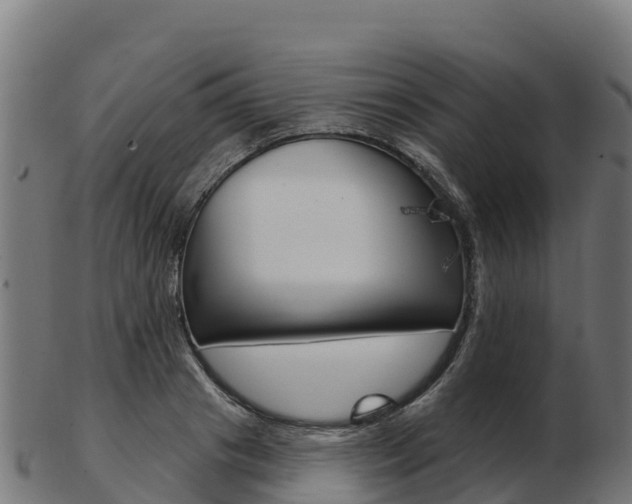 X0000103460841200809121055