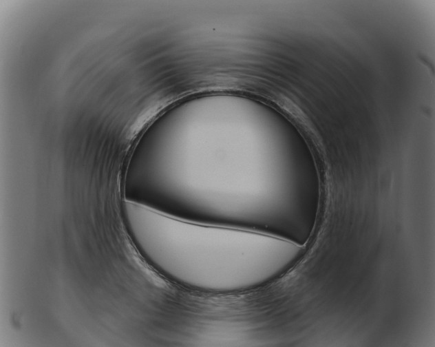 X0000103460842200809121056