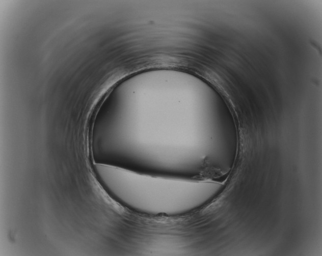 X0000103460843200809121056