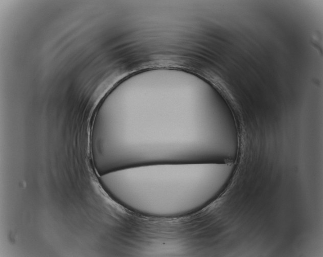X0000103460844200809121056