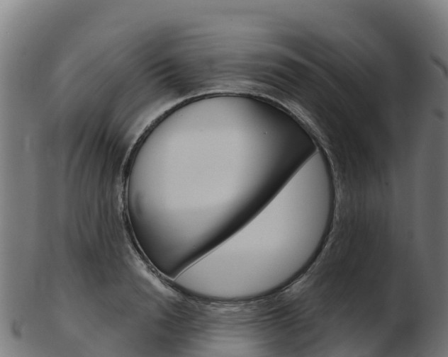 X0000103460846200809121056