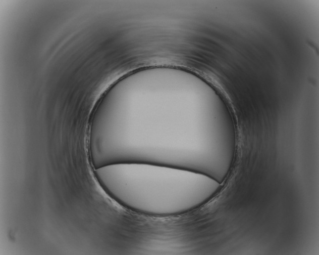 X0000103460847200809121056