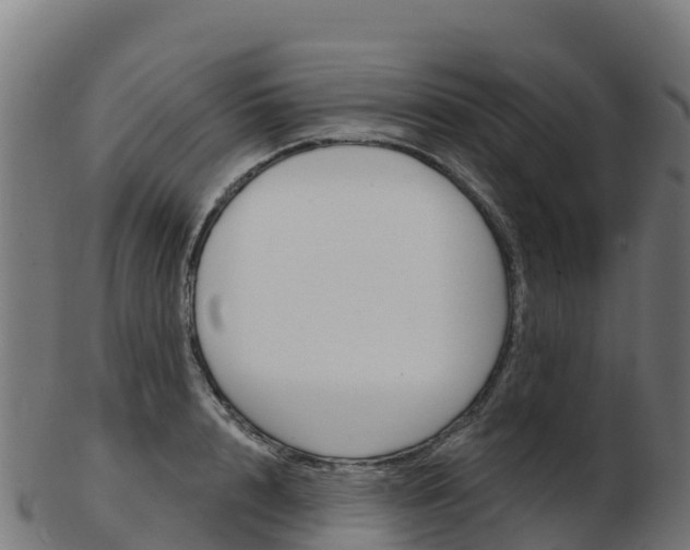 X0000103460848200809121056