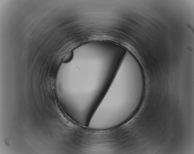 X0000103460849200809121056