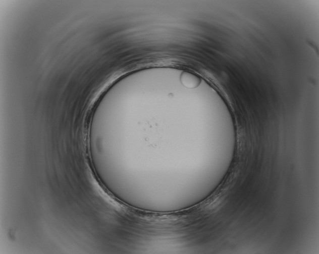 X0000103460851200809121056