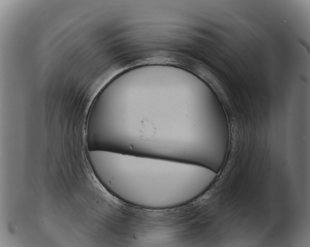 X0000103460852200809121056