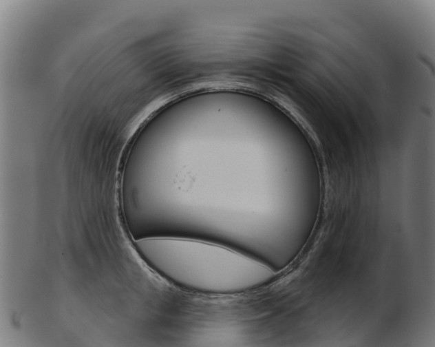 X0000103460853200809121056