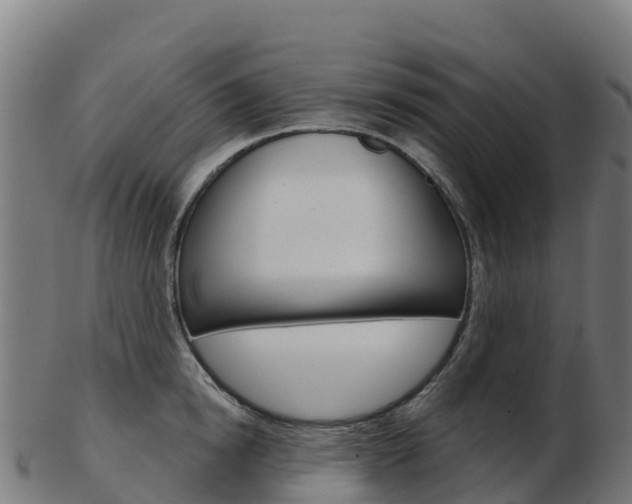 X0000103460854200809121056