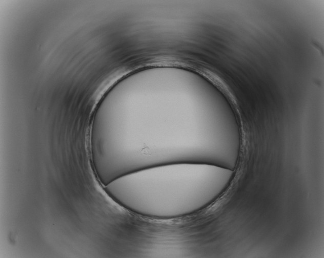 X0000103460855200809121056