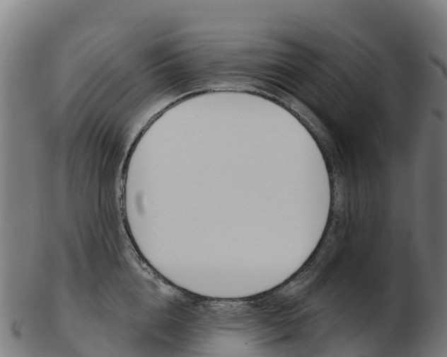 X0000103460856200809121056