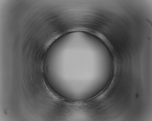 X0000103460857200809121056