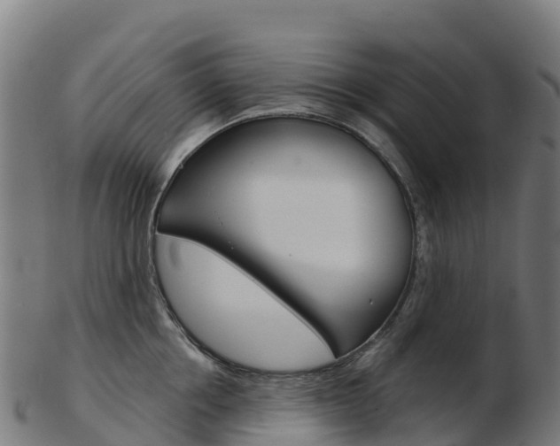 X0000103460858200809121056