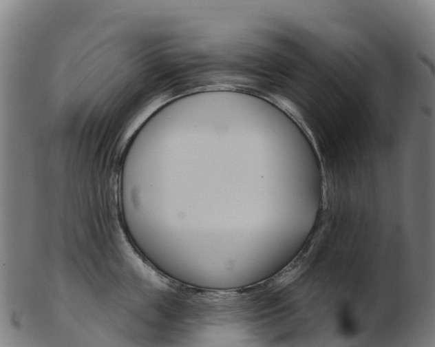 X0000103460859200809121056