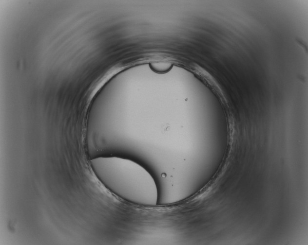 X0000103460860200809121056